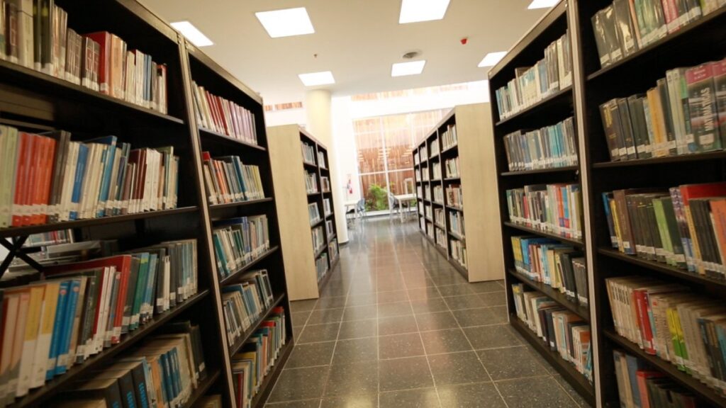 ¡Recomendados bibliográficos!