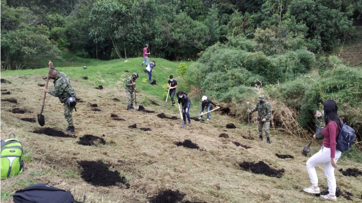 Jornada de reforestación en Facatativá — imagen 1 de 2