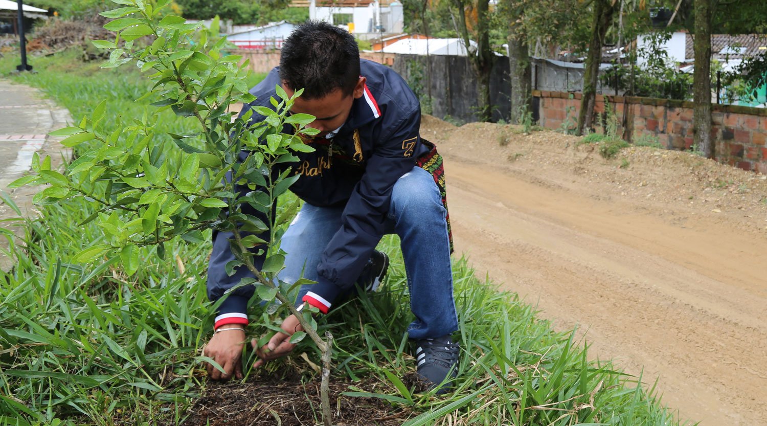 Jornada de Reforestación en UCundinamarca — imagen 2 de 2 Jornada de Reforestación en UCundinamarca — imagen 2 de 2