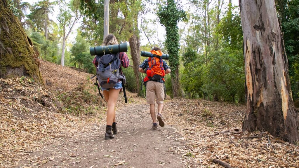 La ciencia de caminar