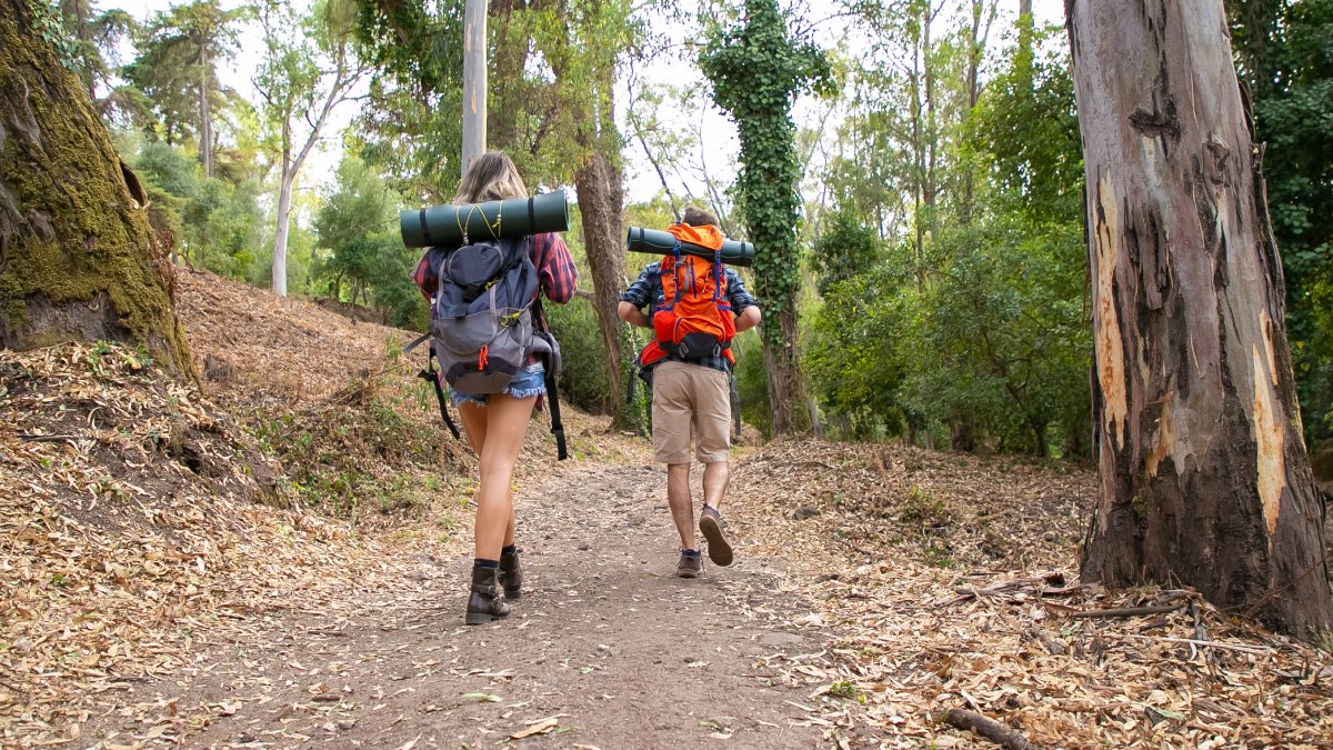 La ciencia de caminar