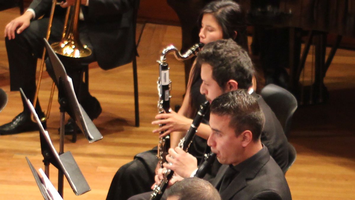 The Cundinamarca University Symphony Orchestra — image 4 of 8