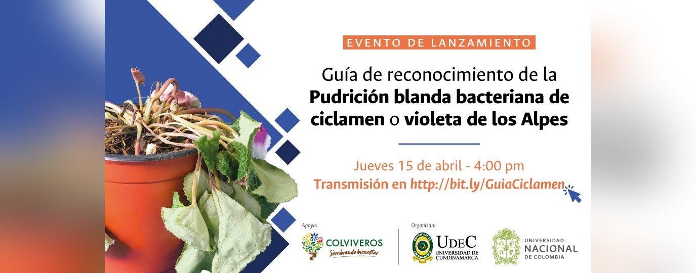 Lanzamiento de la guía de pudrición de la violeta de los Alpes