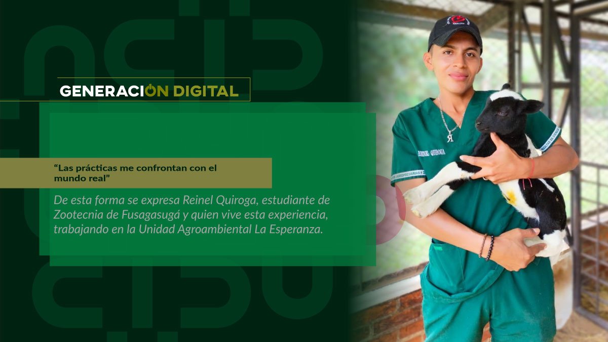 “Las prácticas me confrontan con el mundo real”