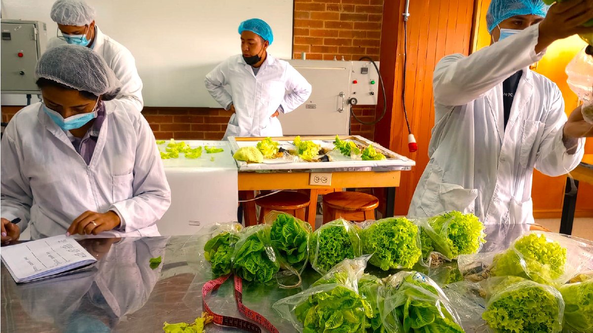 LESTOMA, proyecto que revoluciona la producción alimenticia — imagen 2 de 3