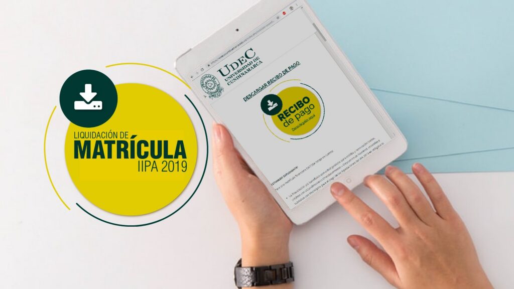 Liquidación de Matrícula IIPA 2019 — imagen 1 de 6