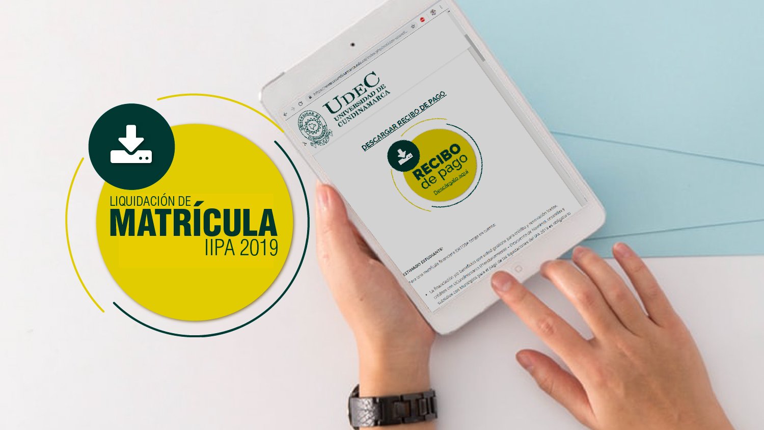 Liquidación de Matrícula IIPA 2019 — imagen 1 de 6
