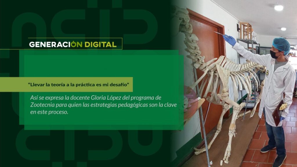 “Llevar la teoría a la práctica es mi desafío”
