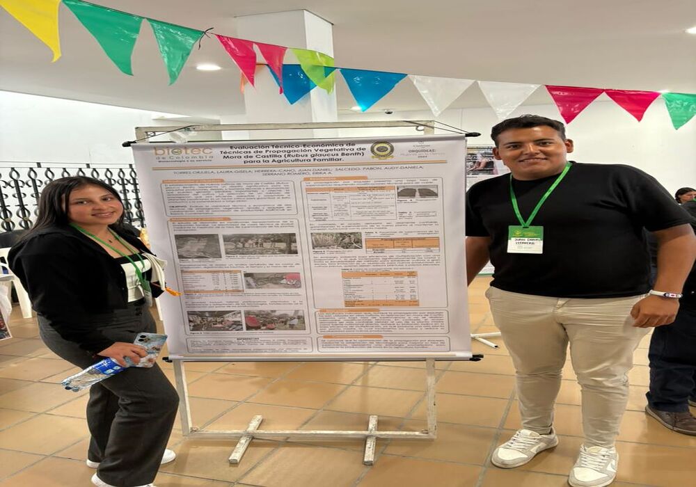 Micropropagación de mora de Castilla — imagen 4 de 5