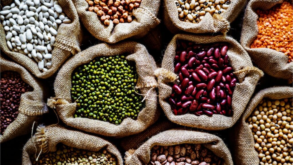 Para el año 2050 no habrá alimentos para todos