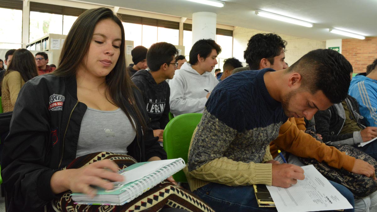 Weighting of Systems Engineering in Facatativá — image 4 of 5