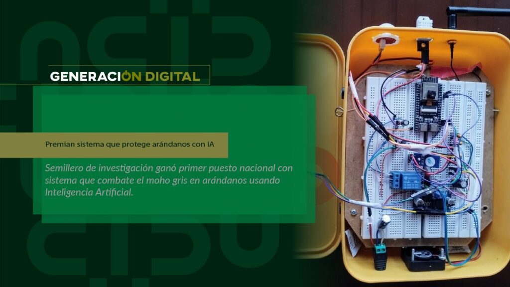 ​Premian sistema que protege arándanos con IA — imagen 1 de 3