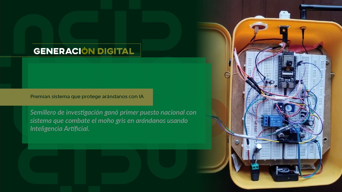 ​Premian sistema que protege arándanos con IA — imagen 1 de 3