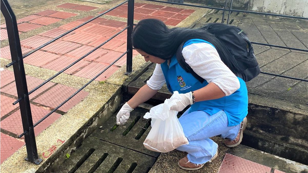 Prevención y acción contra el Dengue — imagen 3 de 5