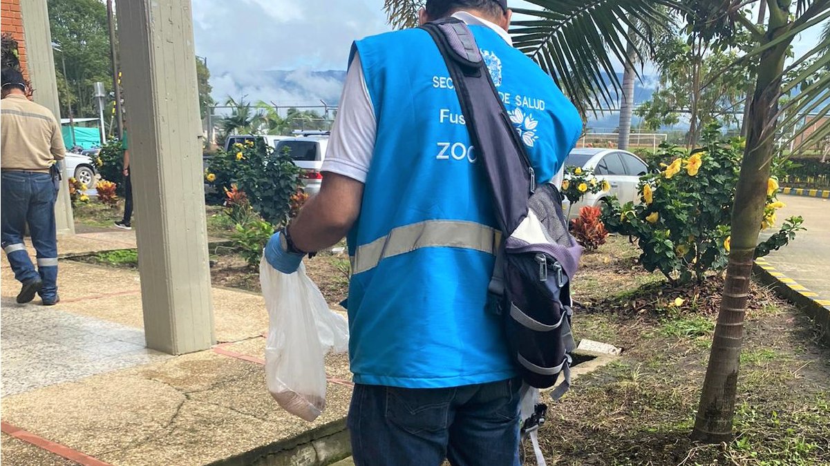 Prevención y acción contra el Dengue — imagen 4 de 5