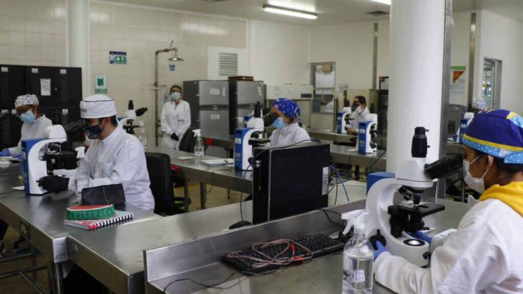 Profesores universitarios tendrán prioridad en plan de vacunación
