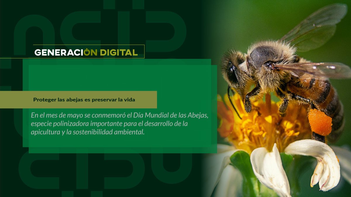 Proteger las abejas es preservar la vida