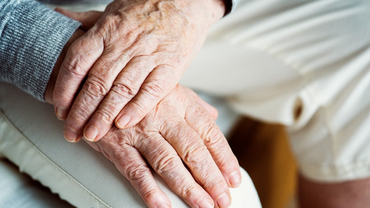 Proyecto mejora calidad de vida a adultos mayores