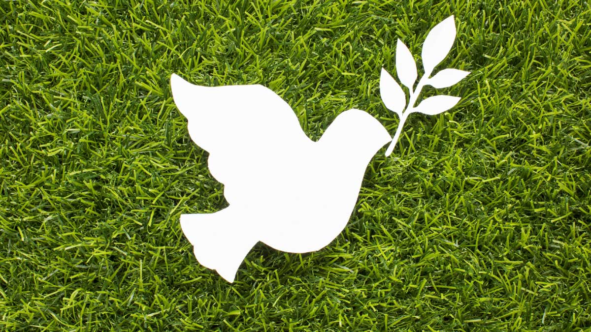 ¿Qué ha pasado con la implementación del acuerdo de paz?