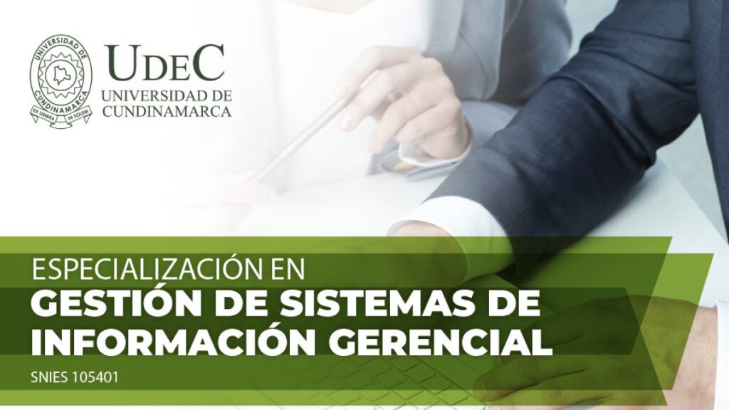 ¿Quieres ser experto en Sistemas de Información?