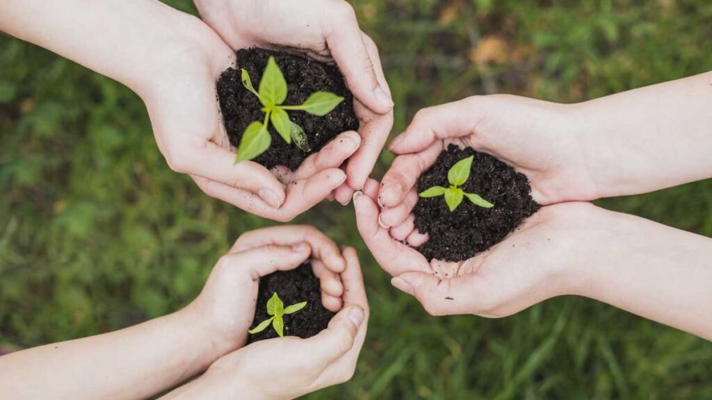 Reflexionando sobre educación ambiental