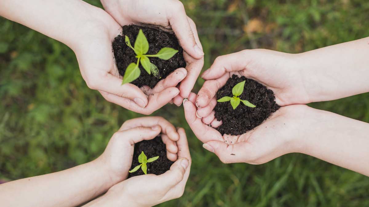 Reflexionando sobre educación ambiental