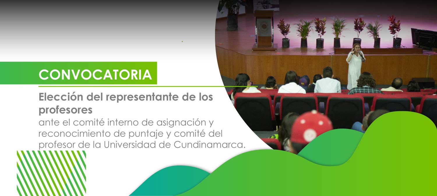 Representante de los profesores ante el comité interno