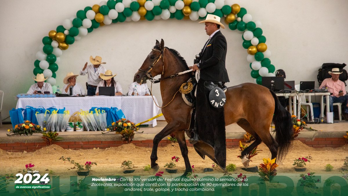 Revive los mejores momentos del 2024 — imagen 18 de 20