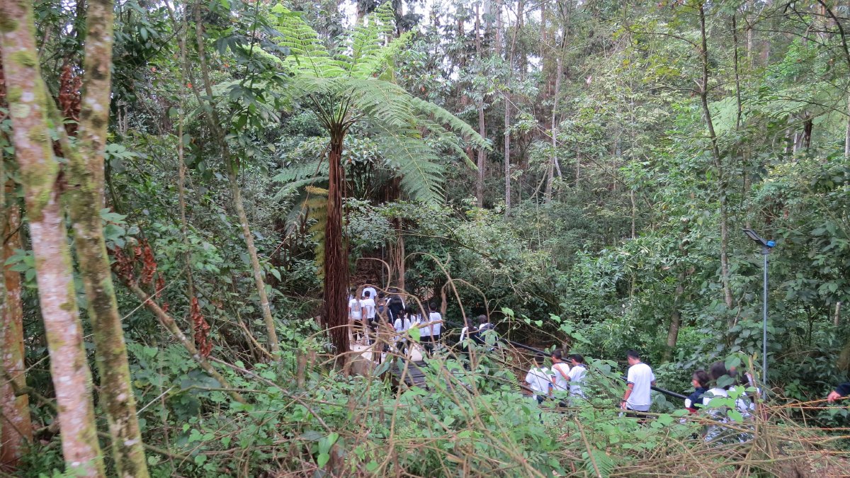 Water route in Fusagasugá — image 3 of 5