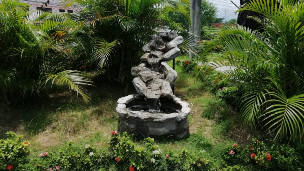 Salud y naturaleza, una relación vital — imagen 1 de 3