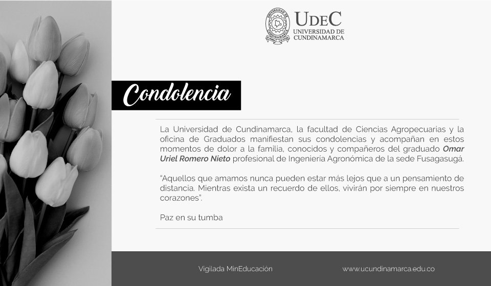 Saludo de condolencia Saludo de condolencia