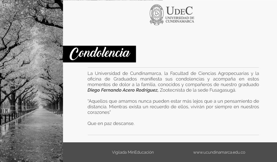 Saludo de condolencia Saludo de condolencia