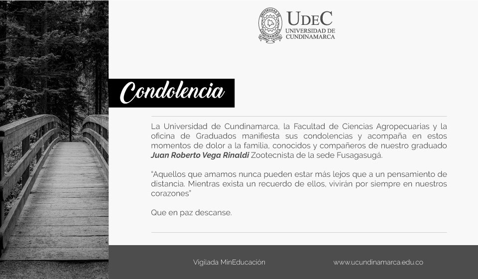 Saludo de condolencia Saludo de condolencia