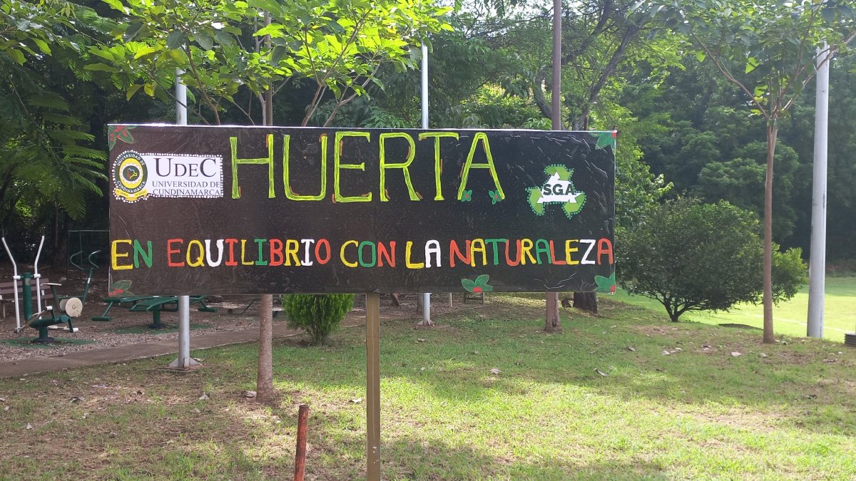 Seccional Girardot fortalece sus acciones ambientales — imagen 2 de 3
