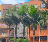 Fachada del edificio de la sede Facatativá entre palmeras