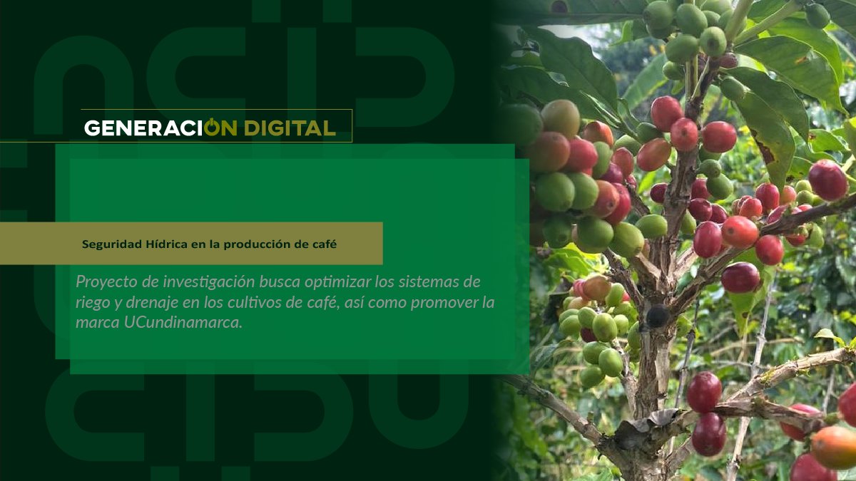 Seguridad Hídrica en la producción de café — imagen 1 de 7