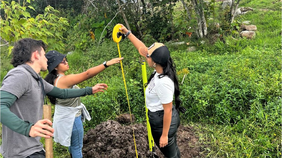 Seguridad Hídrica en la producción de café — imagen 4 de 7