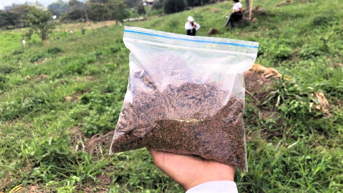 Seguridad Hídrica en la producción de café — imagen 7 de 7