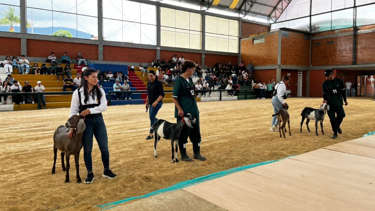 Semana de la Zootecnia impulsa el agro sostenible — imagen 3 de 6