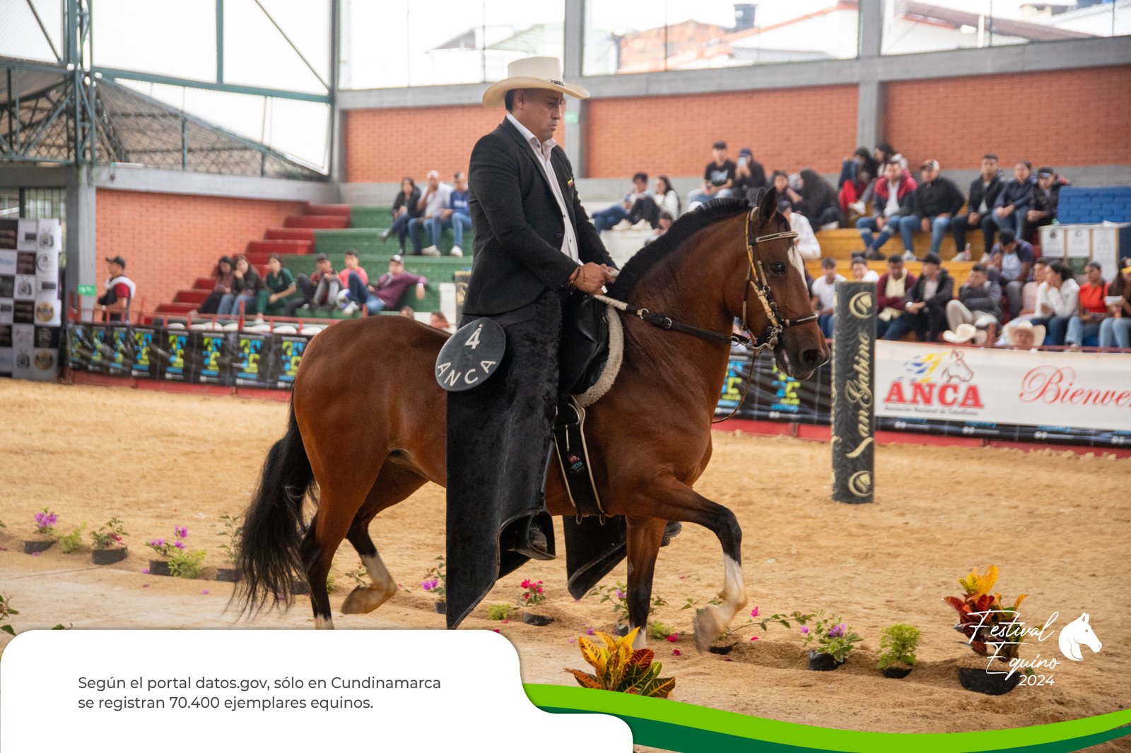 Semana de la Zootecnia, impulso a la educación agropecuaria — imagen 12 de 12