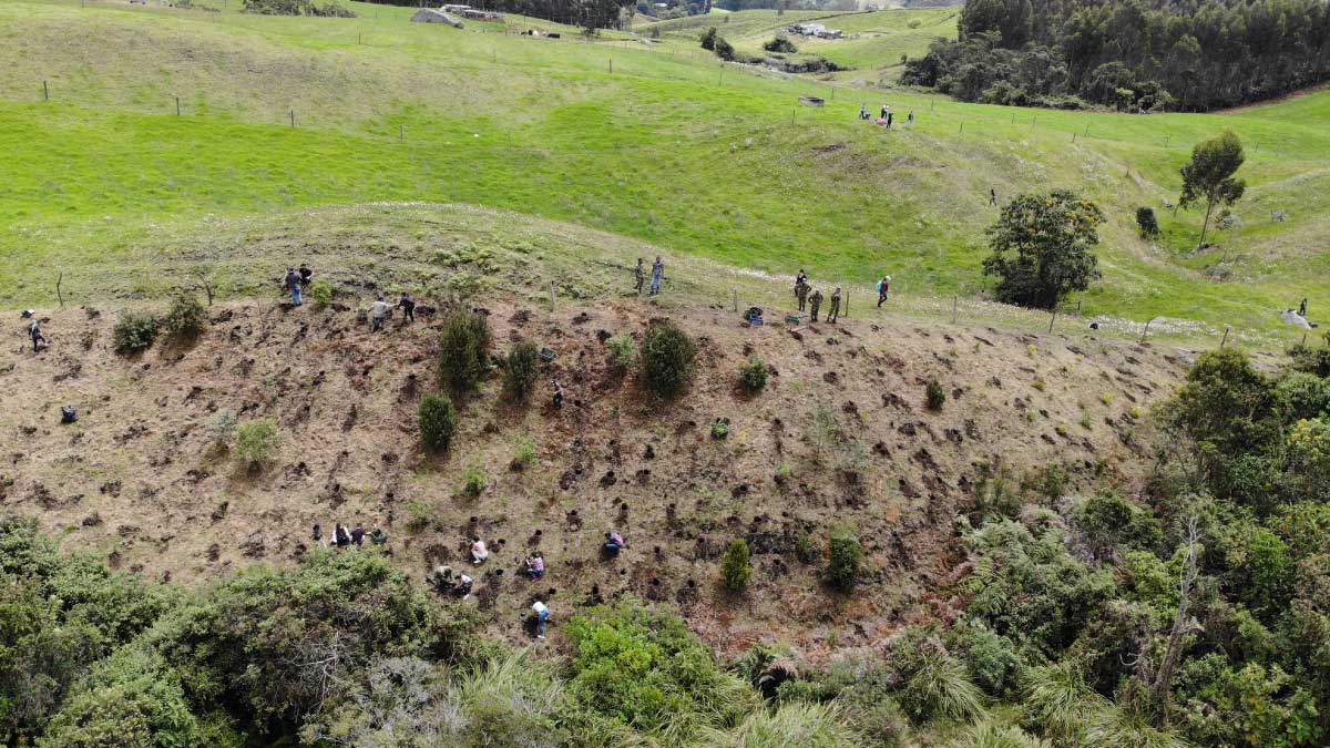 Sembrando futuro en Cundinamarca — imagen 1 de 8