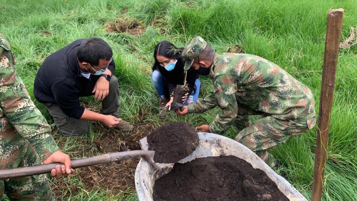 Sembrando paz, vida y reforestación — imagen 1 de 6
