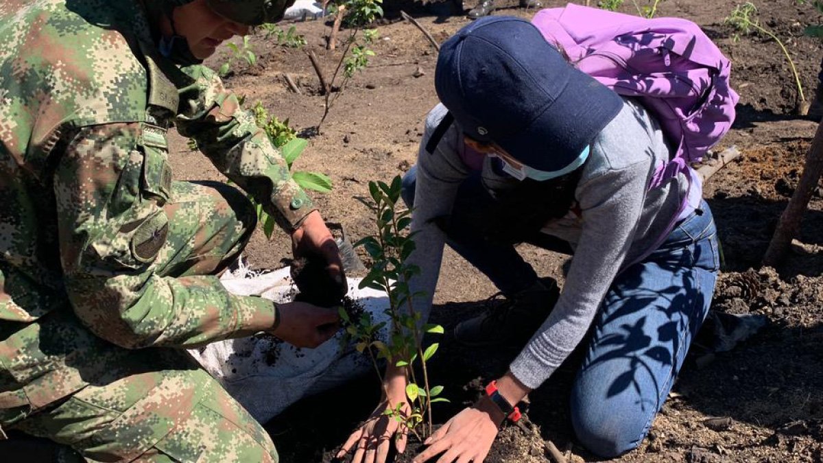 Sembrando paz, vida y reforestación — imagen 2 de 6