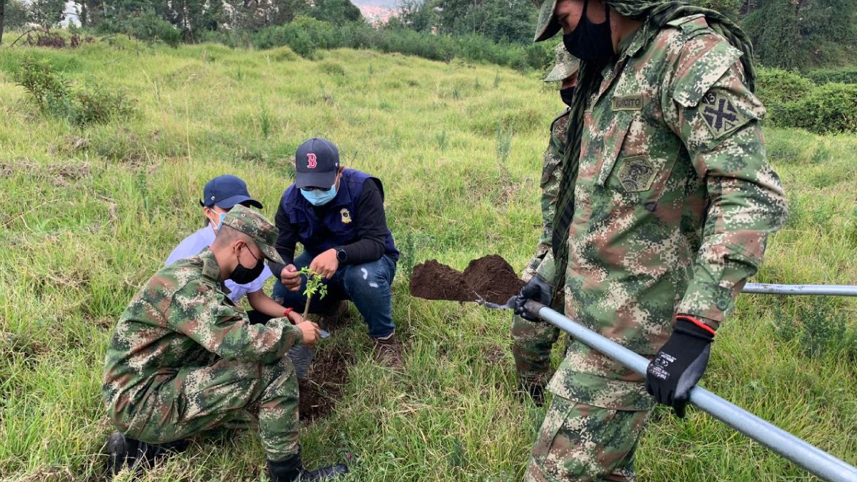 Sembrando paz, vida y reforestación — imagen 6 de 6