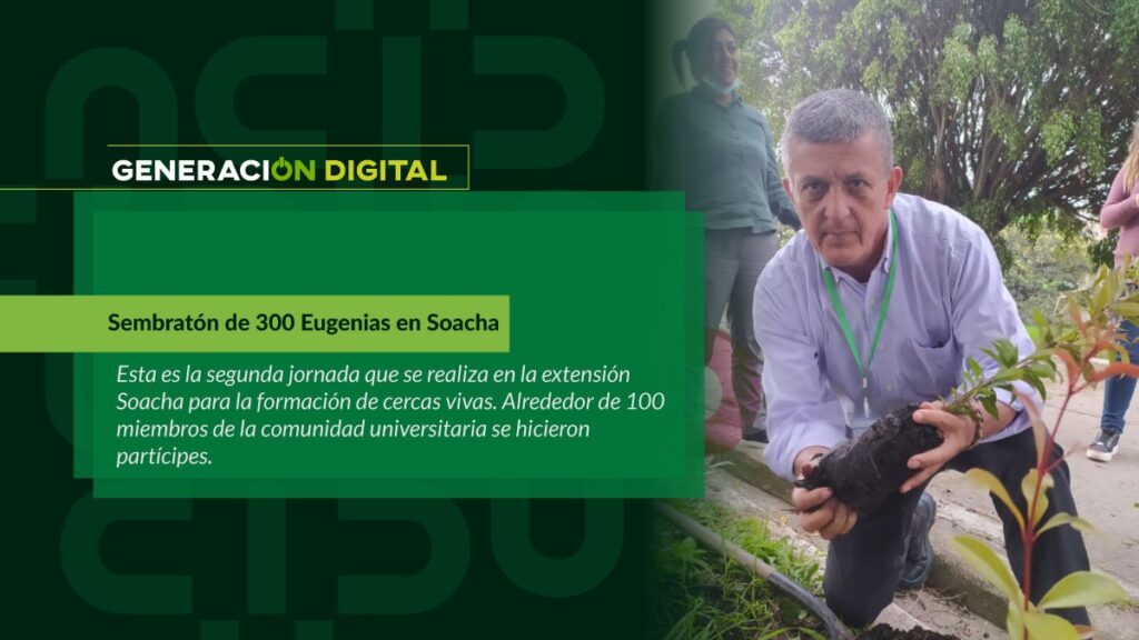 Planting of 300 Eugenia trees in Soacha — image 1 of 4