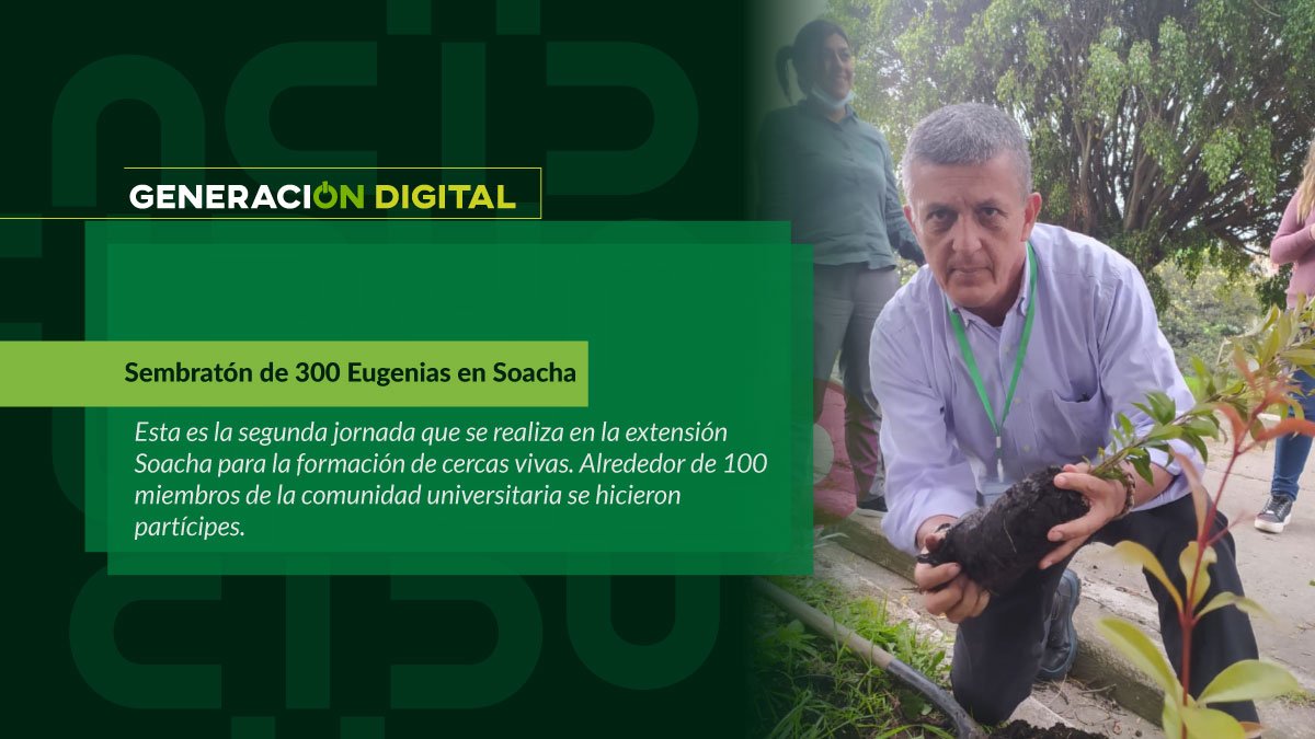 Planting of 300 Eugenia trees in Soacha — image 1 of 4