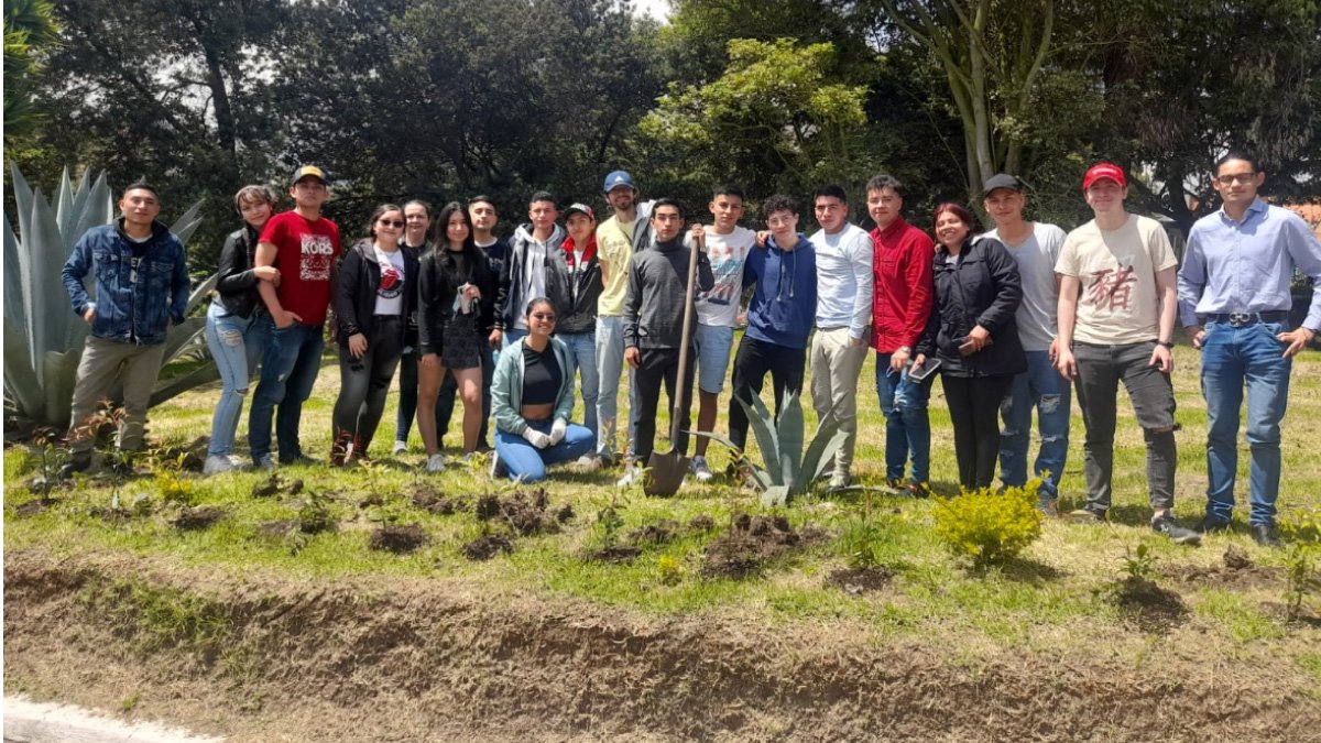 Planting of 300 Eugenia trees in Soacha — image 2 of 4