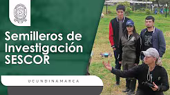 Video de YouTube: Semilleros 7