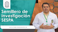 Video de YouTube: Semilleros 6