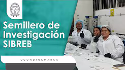 Video de YouTube: Semilleros 5